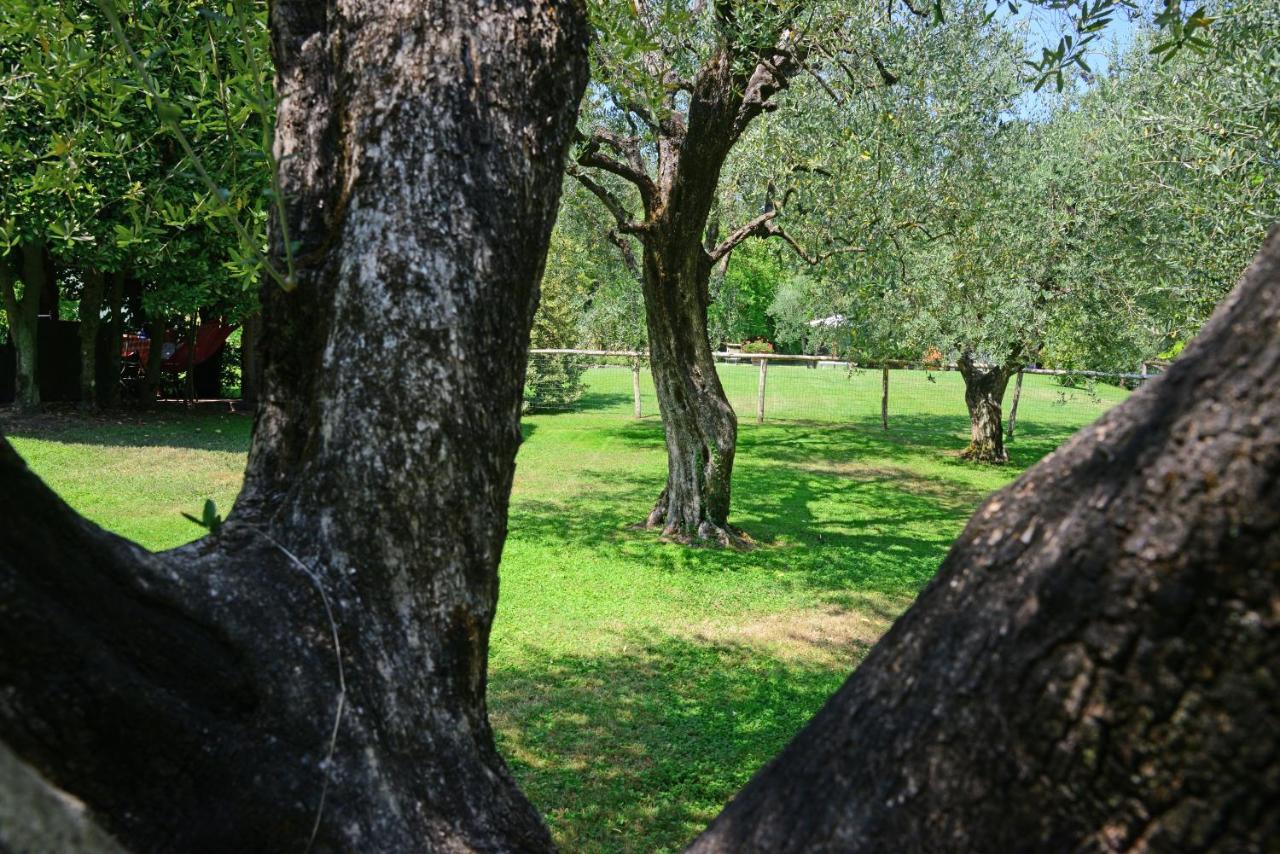 Agriturismo Corte Stefani Capannori Exterior photo